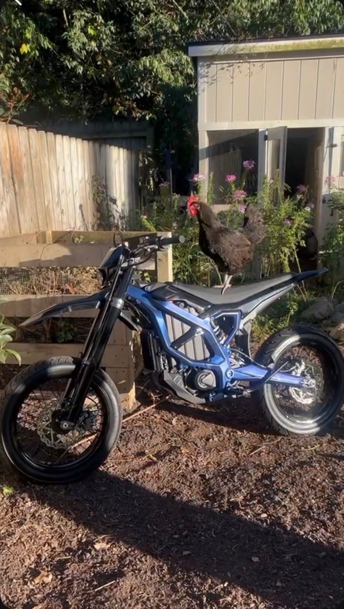 Surron Ultra Bee Frame Custom Guards