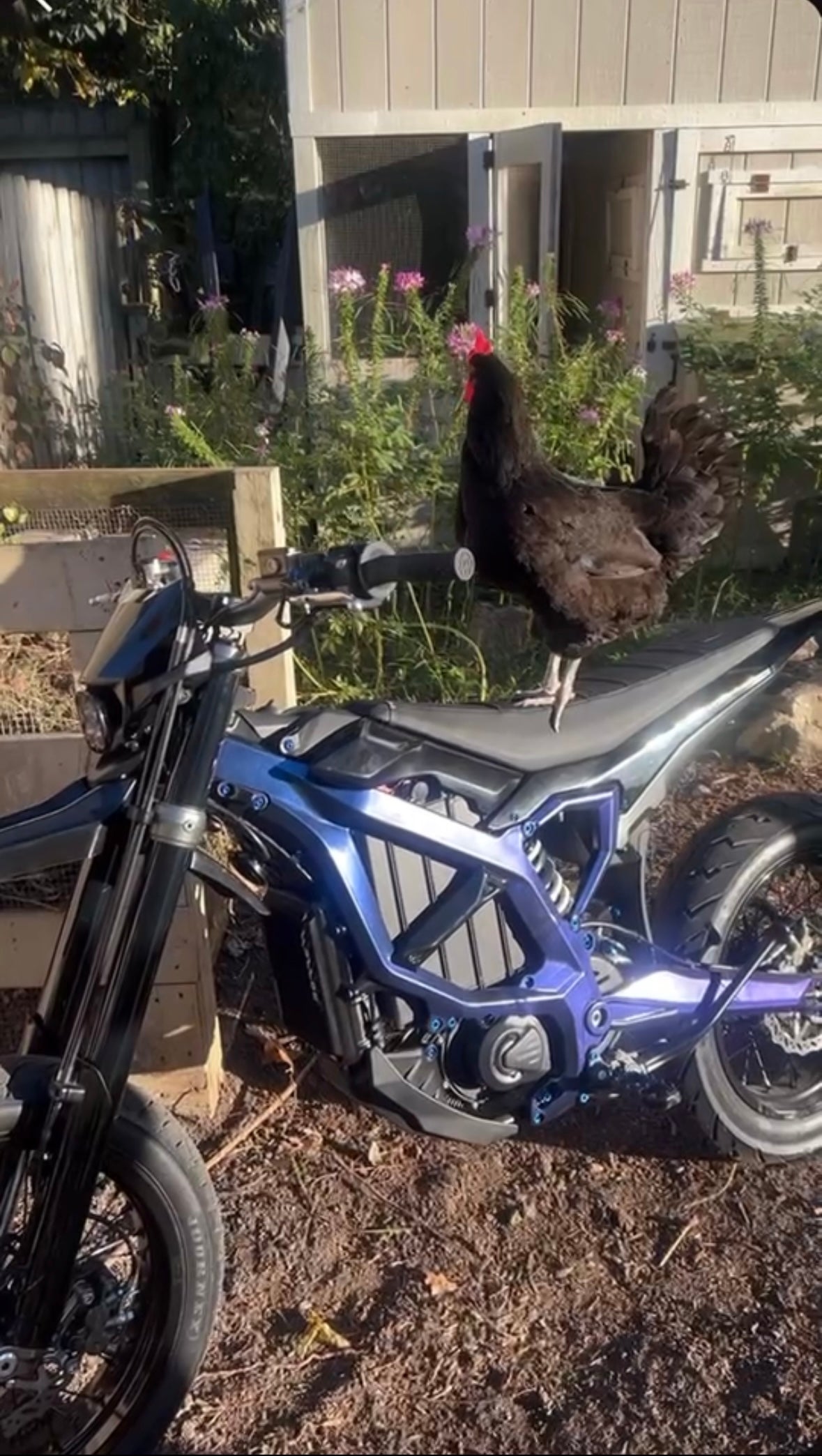 Surron Ultra Bee Frame Custom Guards