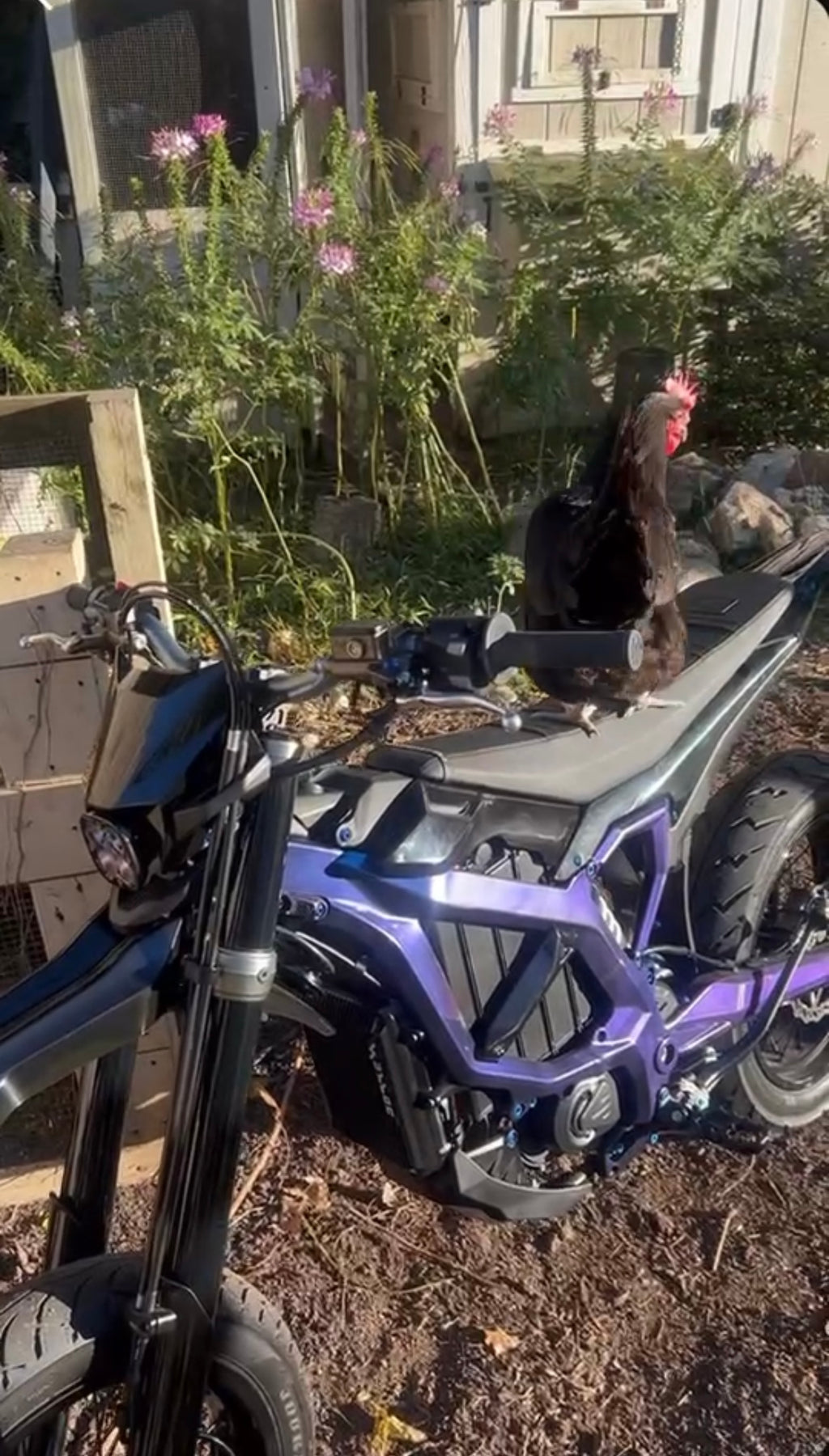 Surron Ultra Bee Frame Custom Guards